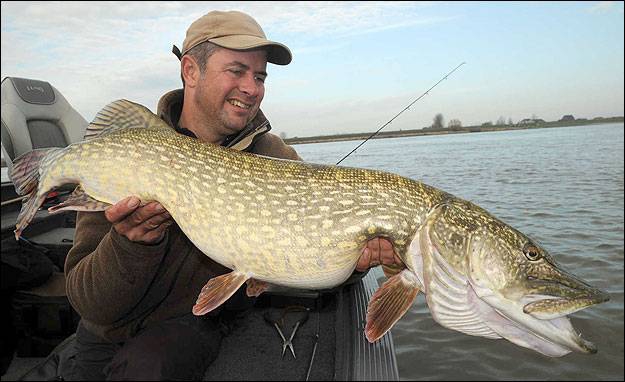Luc Coppens toont hier een mooie dame.....