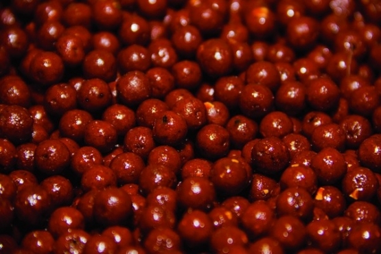 Dynamite The Source Boilie