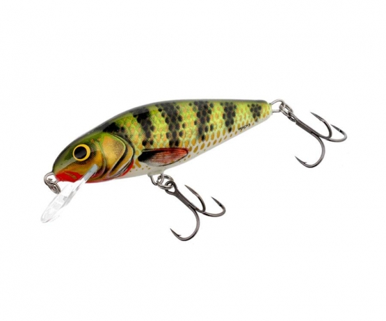 Salmo Perch 8cm Floating DR