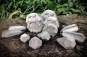 Eco Sinkers Grippa